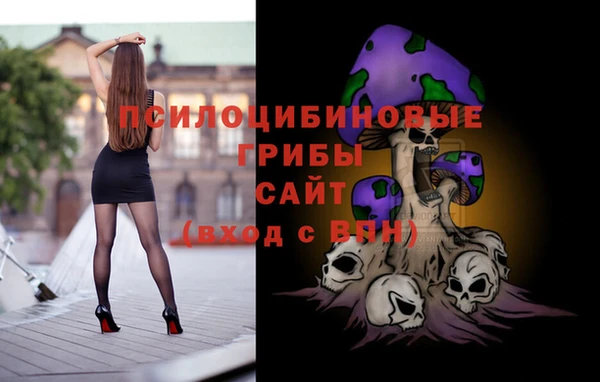 ПСИЛОЦИБИНОВЫЕ ГРИБЫ Осташков