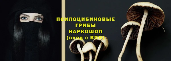 ПСИЛОЦИБИНОВЫЕ ГРИБЫ Осташков