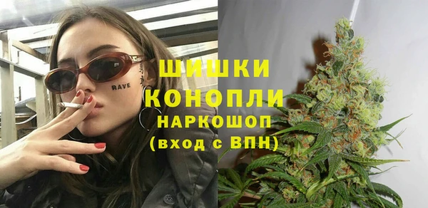 МДПВ Пестово