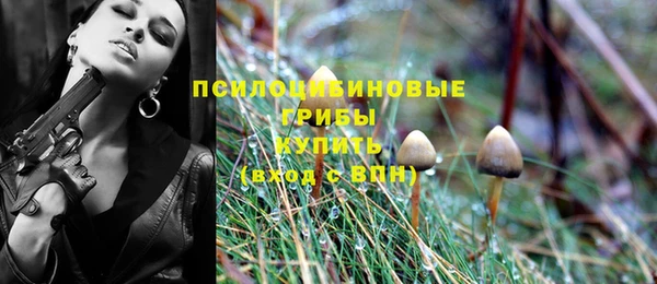 ПСИЛОЦИБИНОВЫЕ ГРИБЫ Осташков