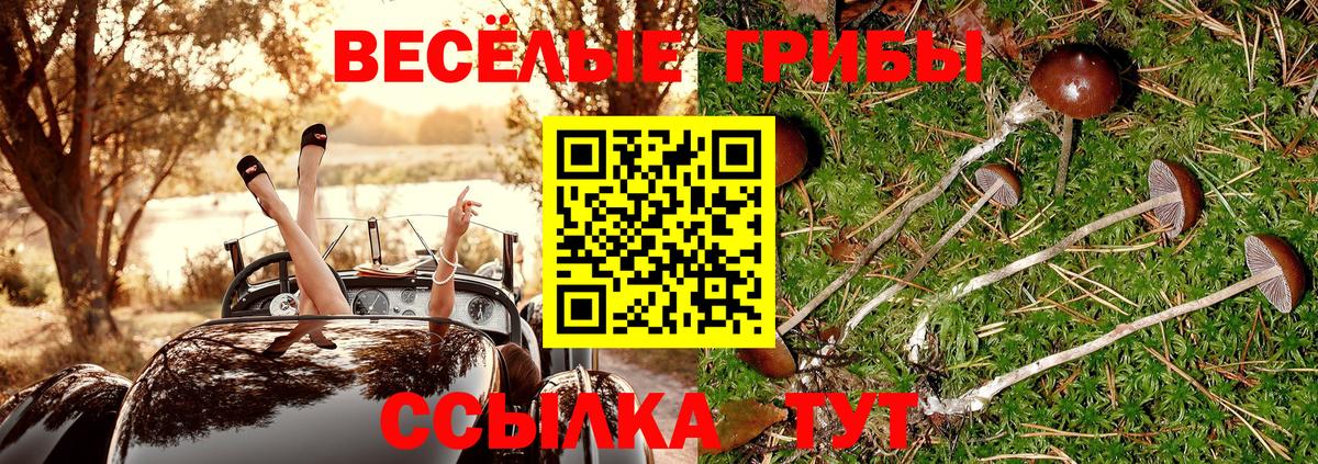 Псилоцибиновые грибы GOLDEN TEACHER Красный Сулин