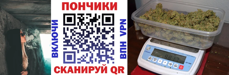 Конопля гибрид Красный Сулин