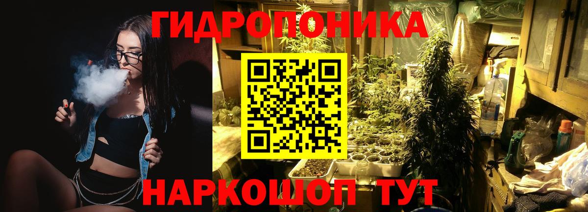 Бошки марихуана Amnesia  Вход с VPN  Красный Сулин  Шишки марихуана индика 